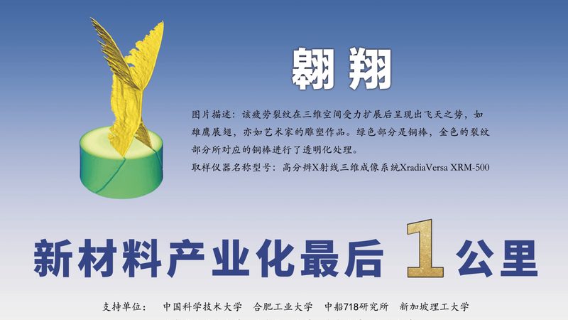 中药材保鲜防腐剂：如何选择合适的产品**