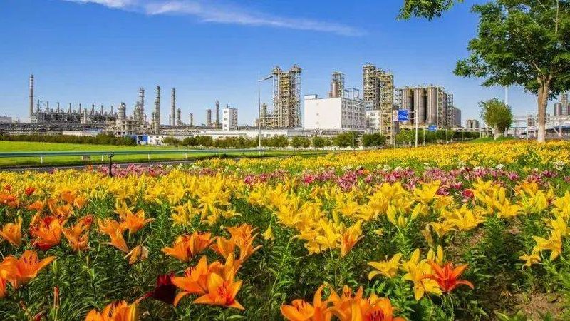 有机化工原料安全性评估报告：全面解析与关键要点**